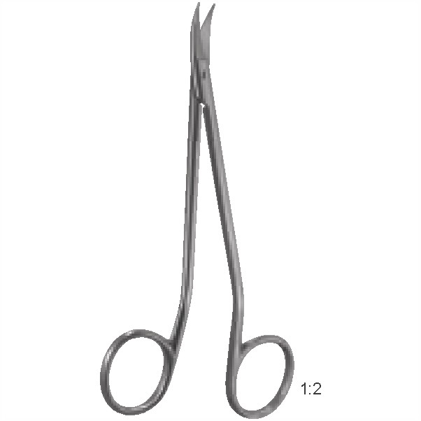 Fine scissors
