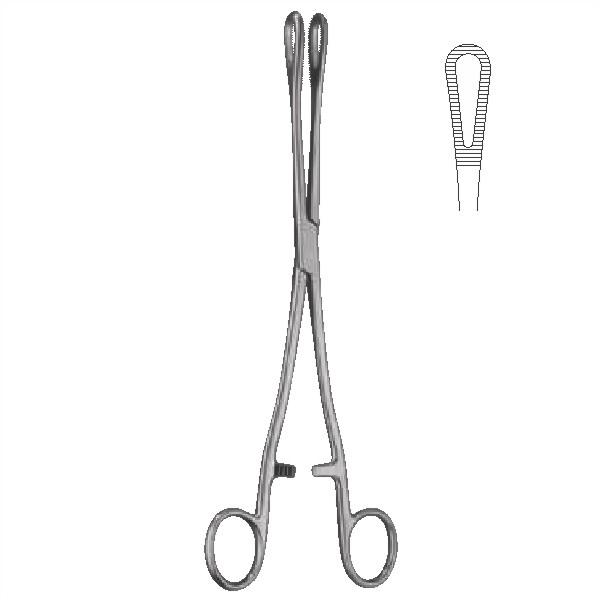 sponge holding forceps