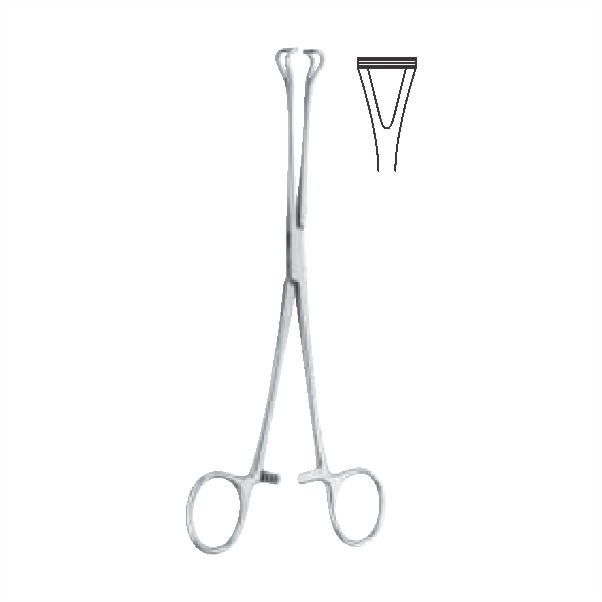 Tissue and intestinal holding forceps