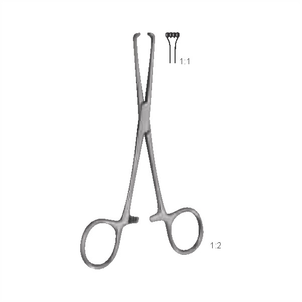 Tissue and intestinal holding forceps