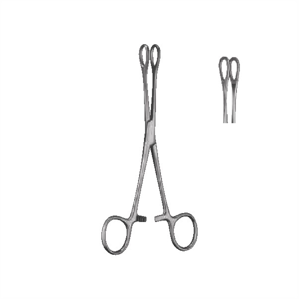 sponge holding forceps