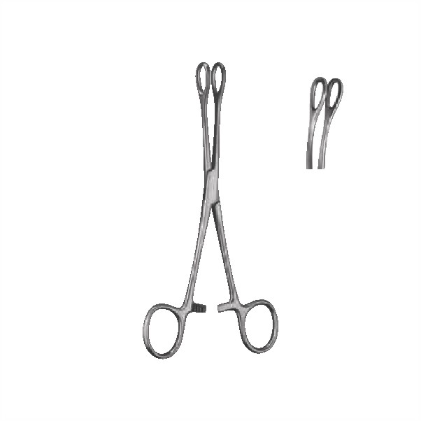 sponge holding forceps