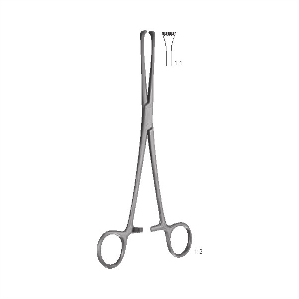 Tissue and intestinal holding forceps