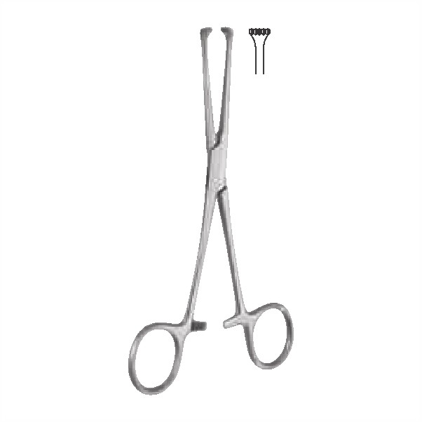 Tissue and intestinal holding forceps