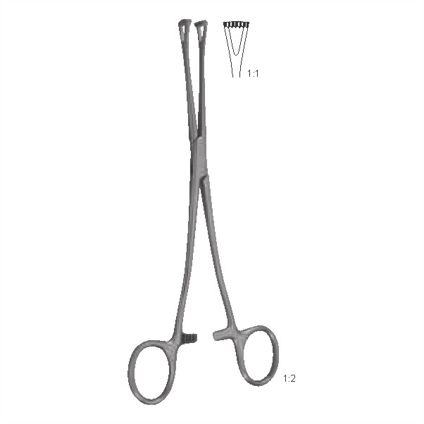 Tissue and intestinal holding forceps