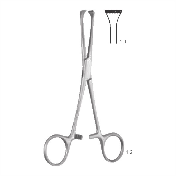 Tissue and intestinal holding forceps