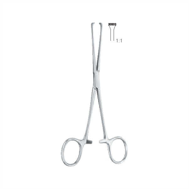 Tissue and intestinal holding forceps