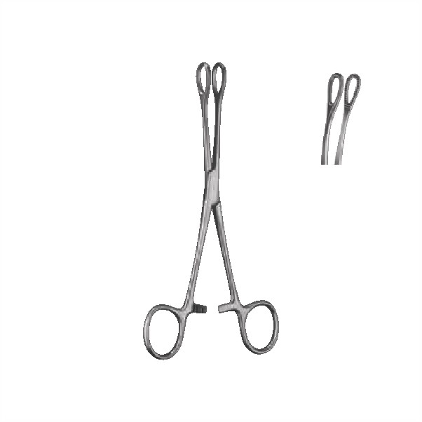 sponge holding forceps